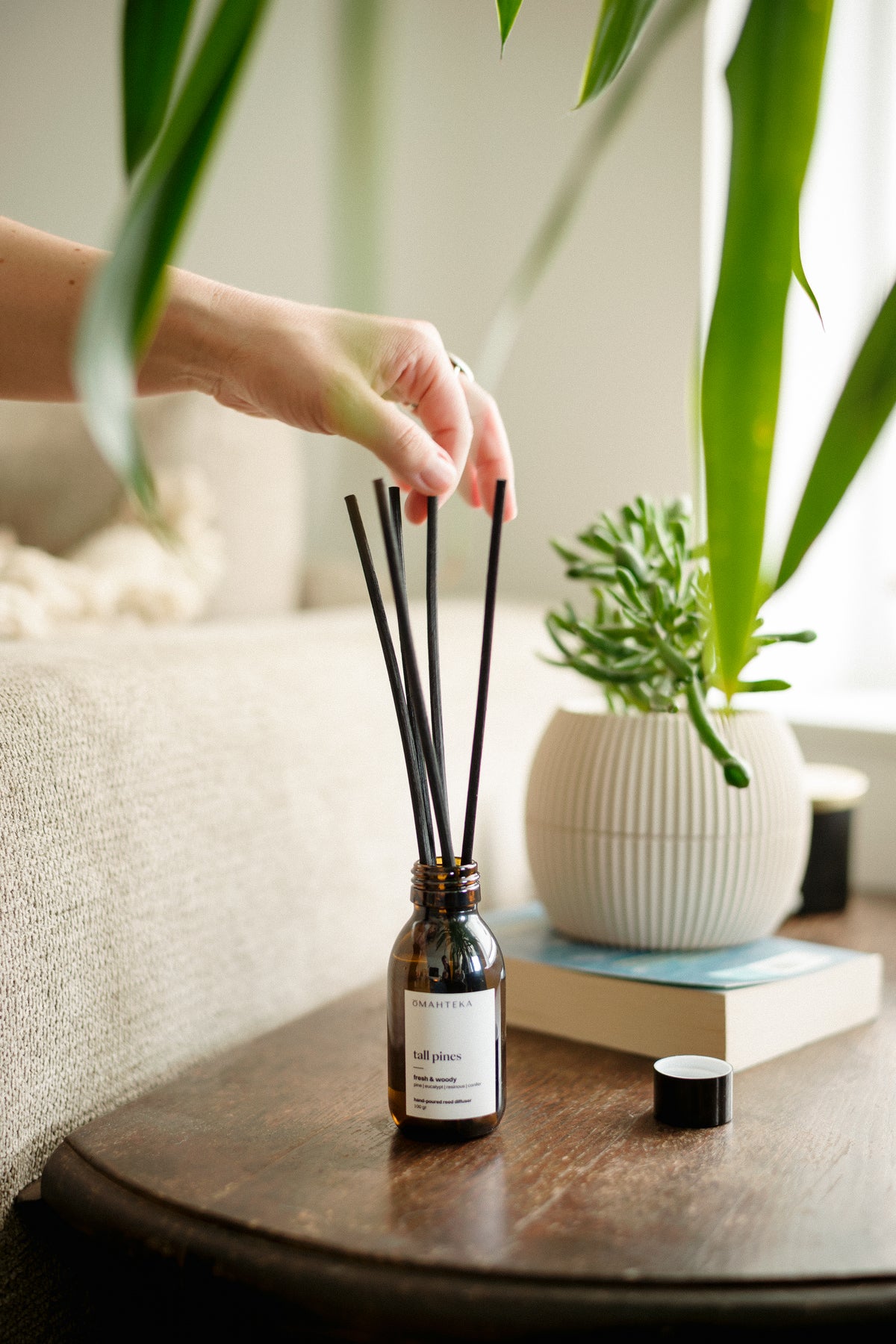 Detaliu difuzor Tall Pines de la Omahteka - betișoarele din ratan absorb și eliberează treptat aroma verde de pin, brad balsamic și cedru, pentru o prospețime constantă în cameră.