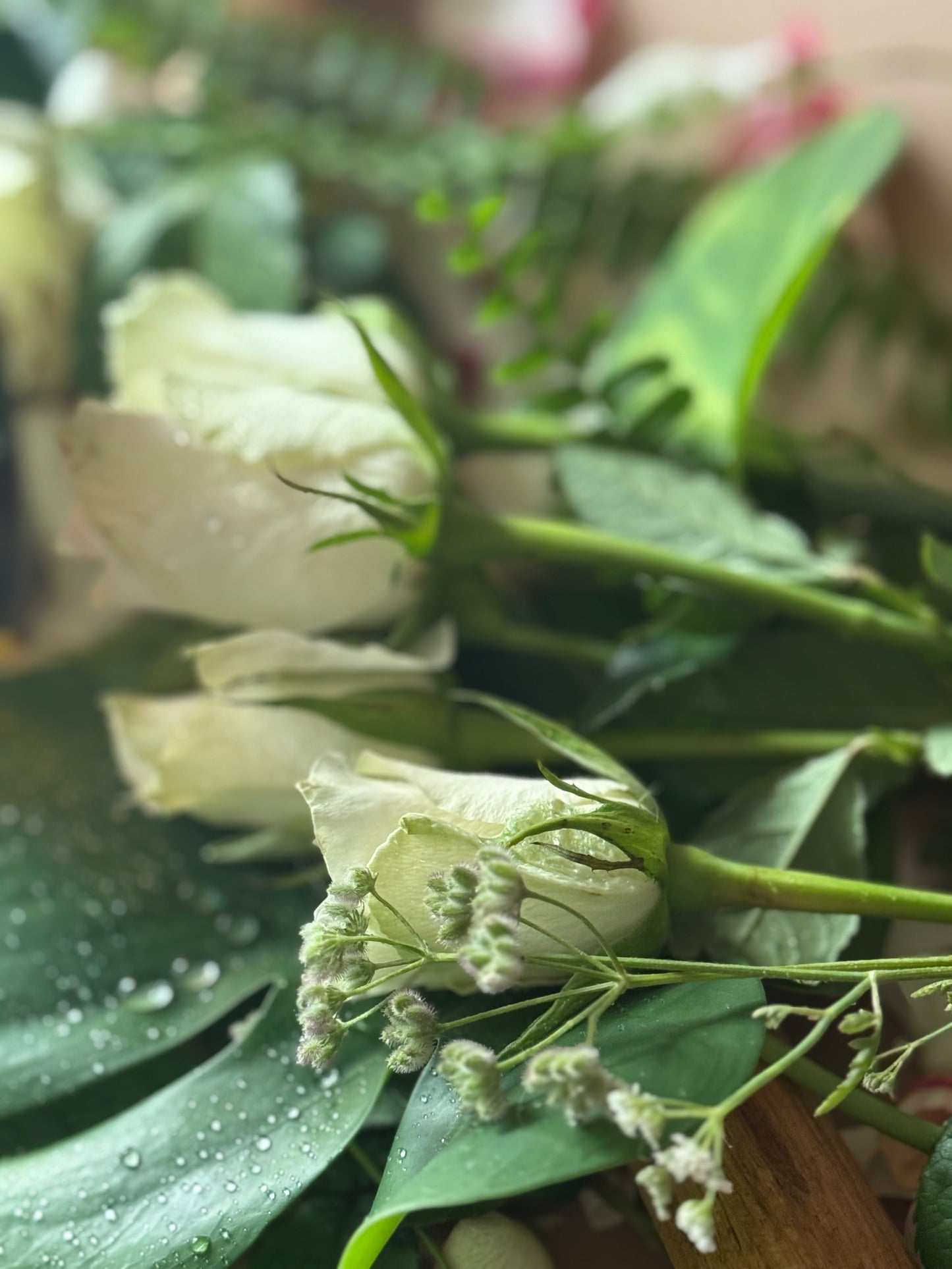 Aromatizator de cameră Bed of Roses cu difuzare lentă, arome florale, frunze verzi și note dulci de fructe de pădure.