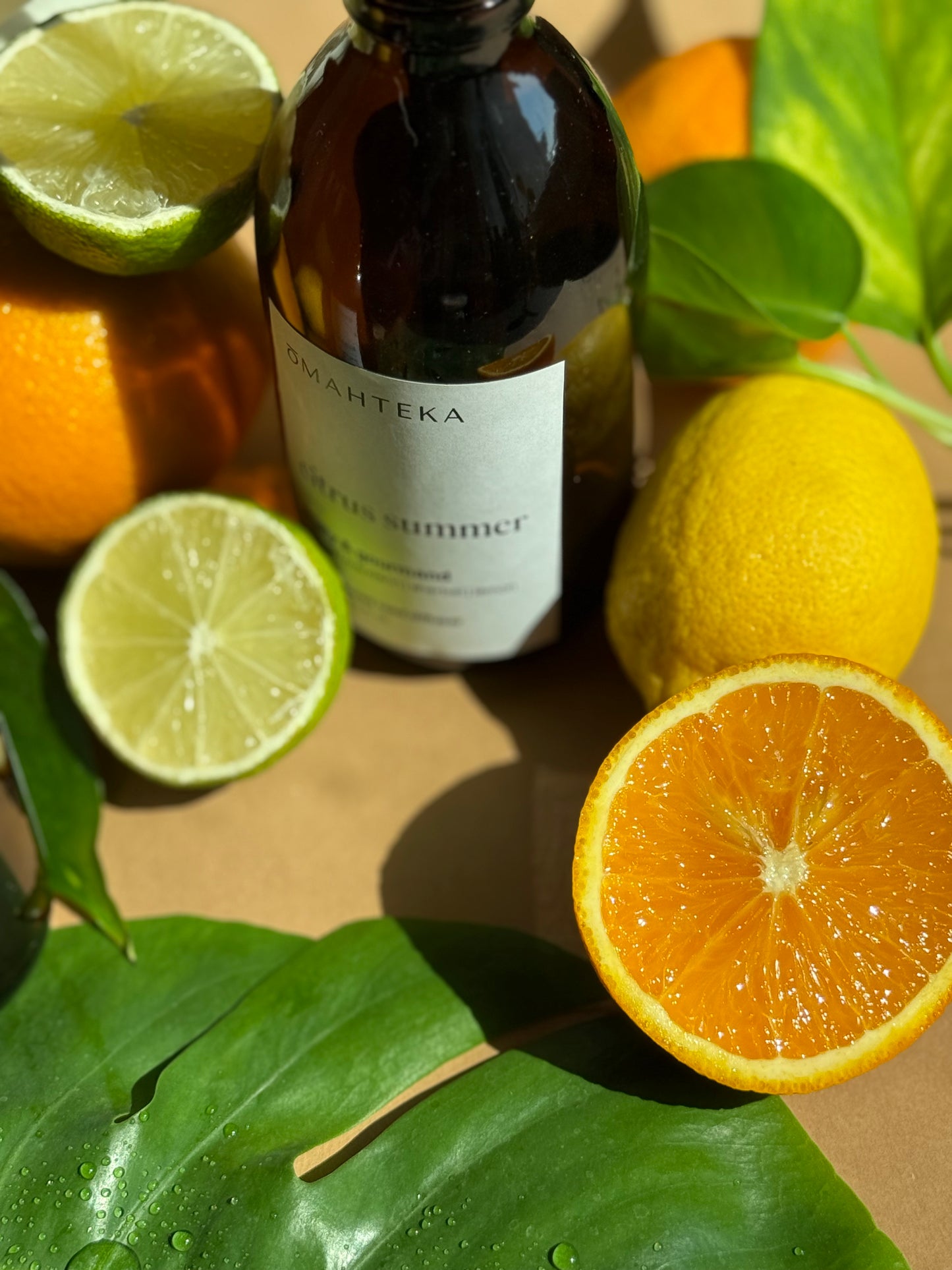 Sticla de parfum de cameră Citrus Summer cu bețișoare negre, perfect pentru un decor natural și miros de vară în orice anotimp.

