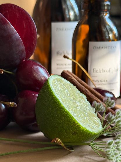 Difuzor de cameră Fields of Plum de la Omahteka, cu arome intense de prune uscate, cardamon și mosc – ideal pentru iubitorii de parfumuri rafinate.